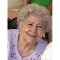 Joyce Ann Velner