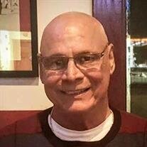 Mr. Stephen Andrew Davis