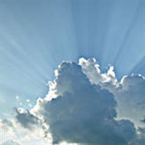Angelic Montes