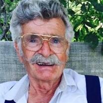 Robert Leon Schneider
