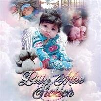 Lillith Mae Sickich