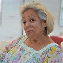 Guadalupe Romero Villasenor