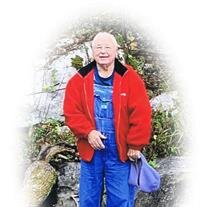 Olen L. Stegall