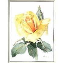 Norman T. Rose