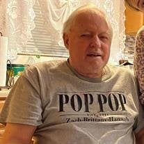 Mr. Michael J. Damminger Sr.