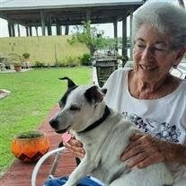 Shirley Jean Pendleton