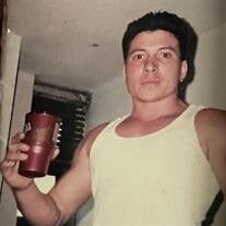 David Paulisky Irizarry