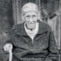 Jane N. Budd