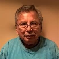 Pedro L. Arellano Jr.