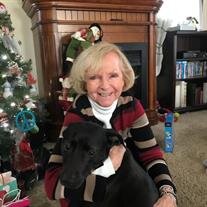 Ann Croge