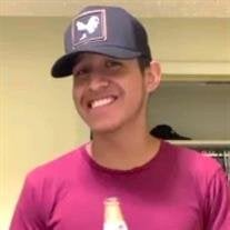 Adrian Soto Perez