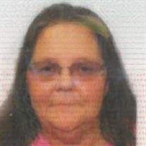Karen N. Holaway
