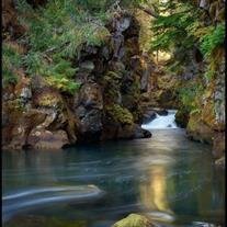 Robert Elden Tipsword