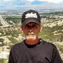 Michael A Goodwin