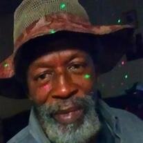 Mr. Fitzhugh Lee Lane