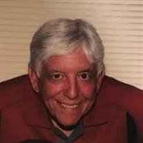 Mr. Peter James Tutino