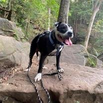 Pawlie Baker
