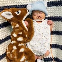 Elliot Daniel Dieleman