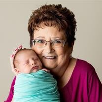 Joyce Ann Harbinson