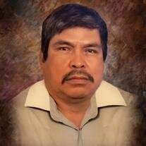 Martin Perez Saucedo
