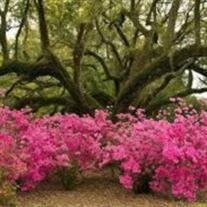 Rose Mary Burkhalter