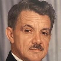 Mr. Luis Jose Diaz Fernandez