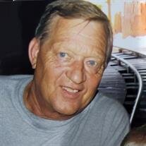 David D. Bonnema