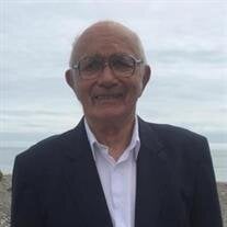 Mr. PAUL F. GEORGES