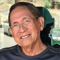 Ramon Zaragosa Mira