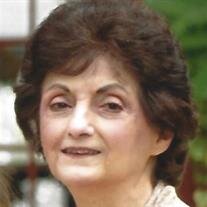 Virginia D'Amico