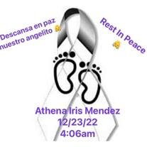 Athena Iris Mendez