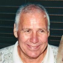 Mr. James Ronald Paul