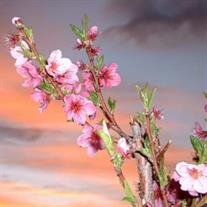 Tam Thap Truong