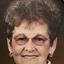 Colleen Nollman