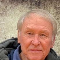 Darrell Lee Stein