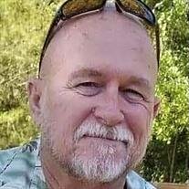 David W Brown