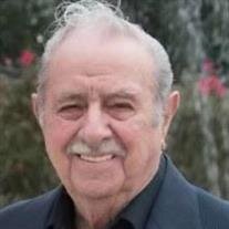 Mr. William Losavio