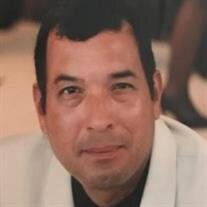 Bruno Bellido Jr.