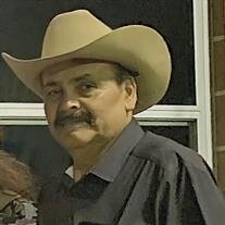 Pedro Almanza Gonzalez