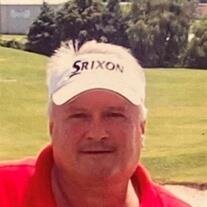 Robert Houston Swallows