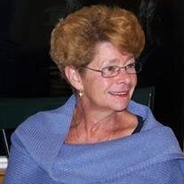 Maureen Collins D'Andrea