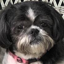 Maggie Mae McManus