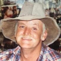 Ronnie Lee Robinson
