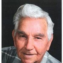 Ray Gerald Cottner