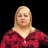 Samira T. Awad