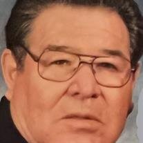 Joe M Vigil