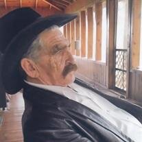Mr. Terry Findley
