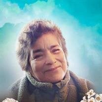 Maria Hernandez-Conejo