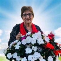 Ana Cledys Cerritos