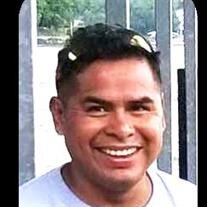 Alex M. Flores-Martinez